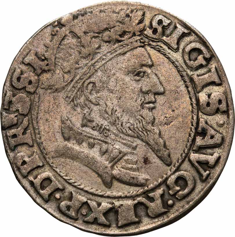 Zygmunt II August. Grosz 1556,  Gdańsk 